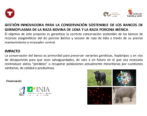 Gestión innovadora para la conservación sostenible de los bancos de germoplasma de la raza bovina de Lidia y la raza porcina Ibérica